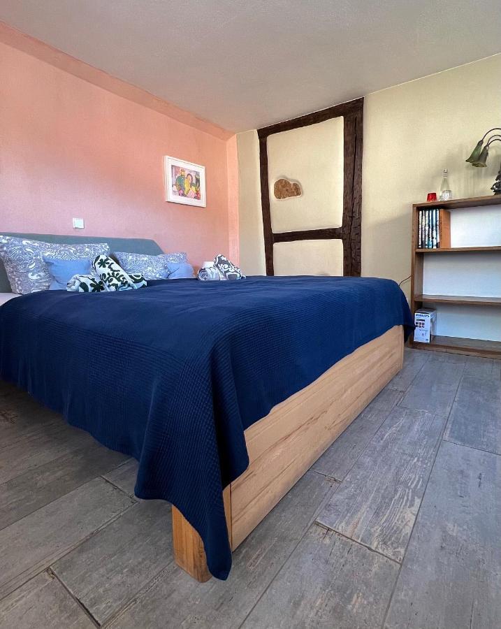 Gemuetliche Gaestezimmer In Einem Neu Sanierten Fachwerkhaus ザクセンハイム エクステリア 写真