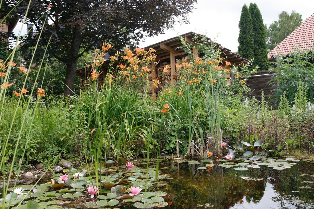 Gemuetliche Gaestezimmer In Einem Neu Sanierten Fachwerkhaus ザクセンハイム エクステリア 写真
